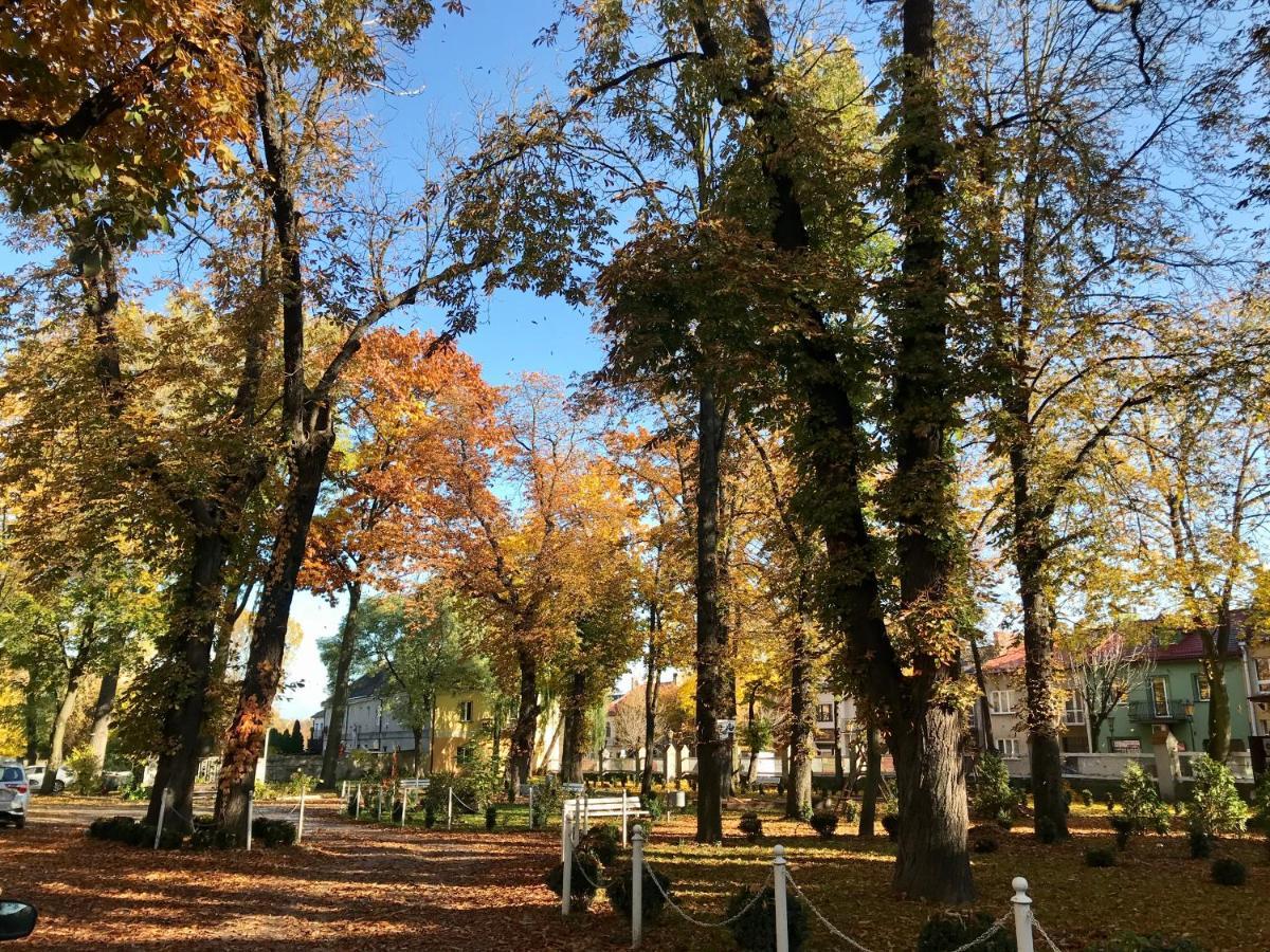 Hotelik Polonia Łowicz Kültér fotó