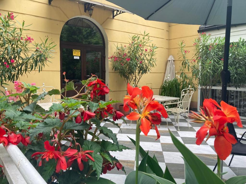 Hotelik Polonia Łowicz Kültér fotó